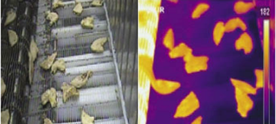An IR temperature measurement and thermographic image are used to locate undercooked chicken tenders and stop the line so undercooked ones can be removed.