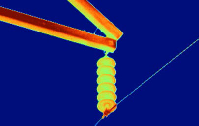 Thermal image of an electrical power line pole with 4X lens