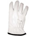 Salisbury ILPG10/12 Leather Protector Glove, Goatskin, Size 12-